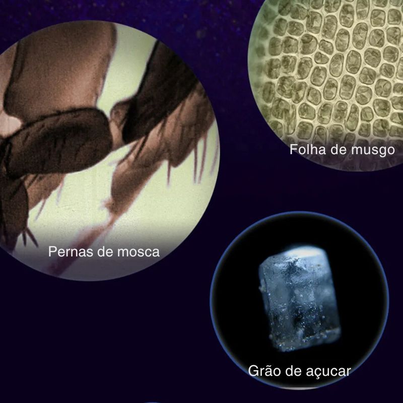 Microscópio de Bolso