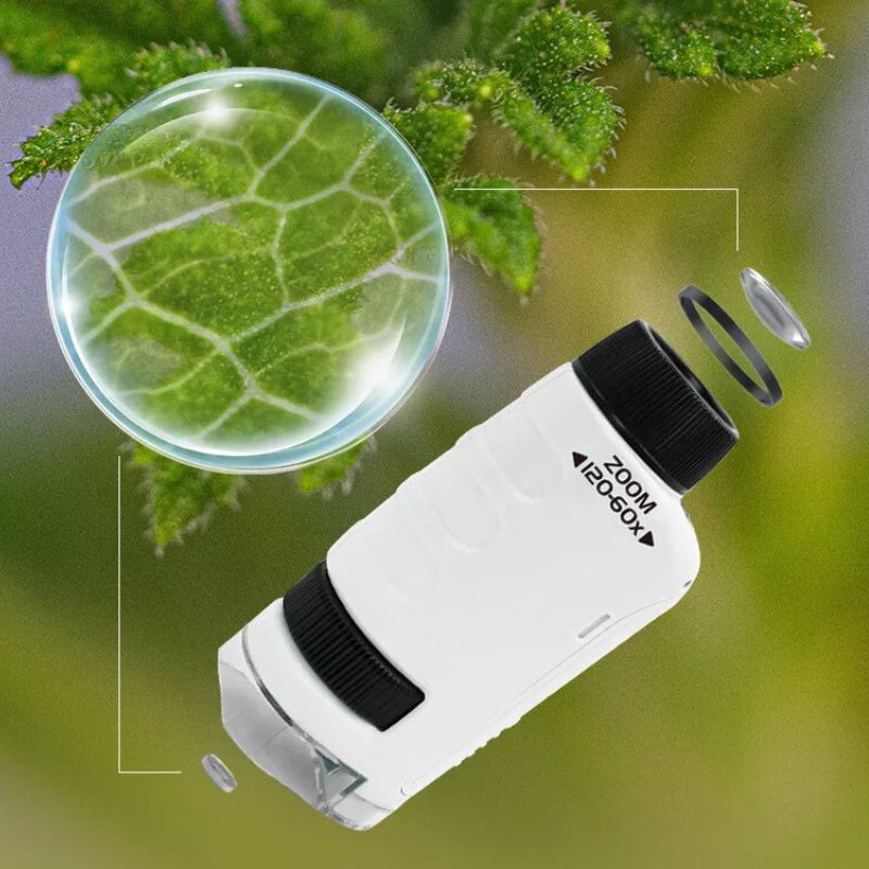 Microscópio de Bolso