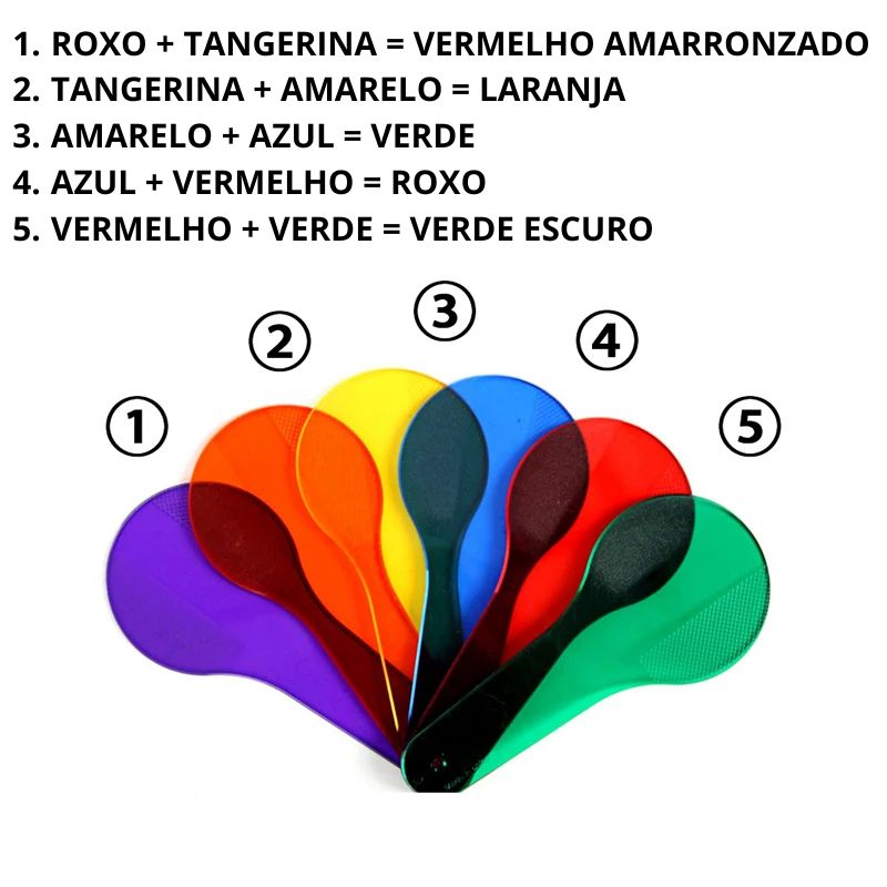 Paletas Translúcidas - 6 cores para combinar