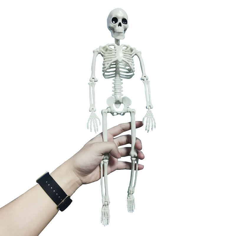 Mini-Esqueleto Humano - Modelo Articulado