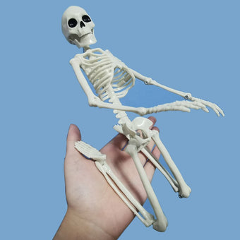 Esqueleto Humano - Modelo Articulado