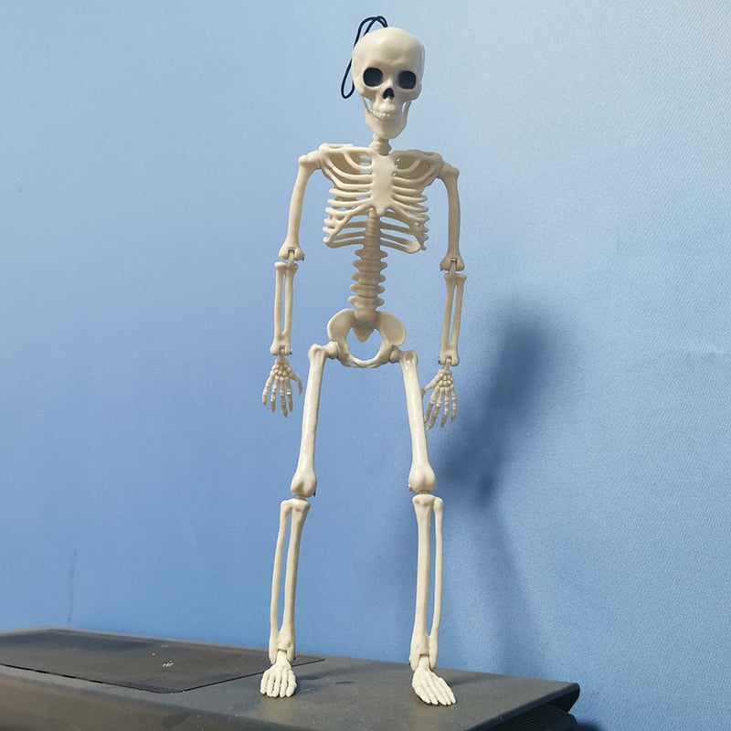 Mini-Esqueleto Humano - Modelo Articulado