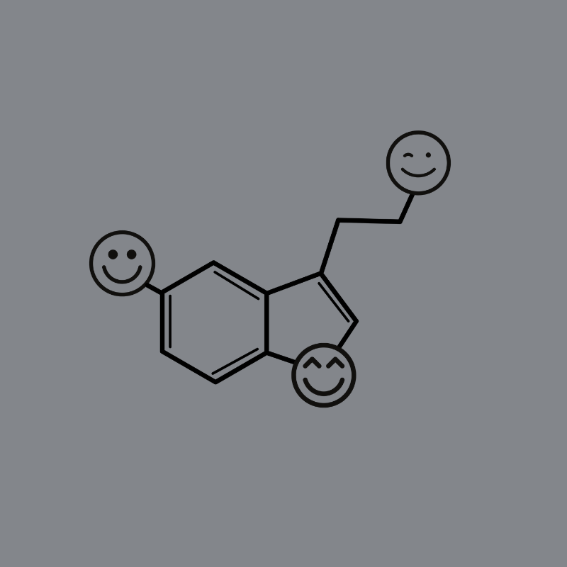 Camiseta - Molécula de Serotonina