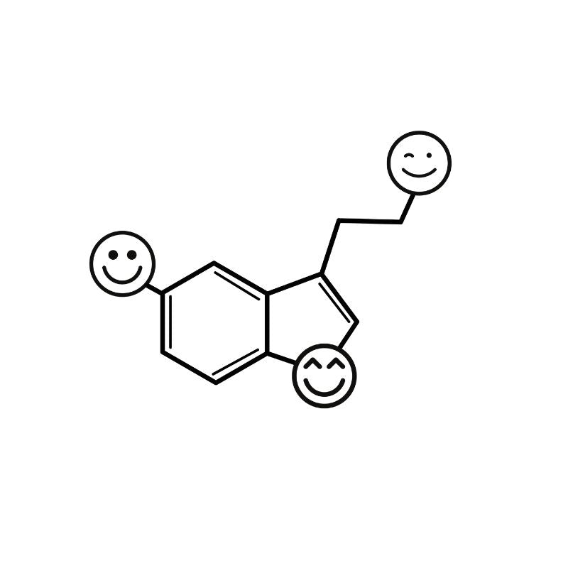 molecula-de-serotonina-terra-loja-da-ciencia-BRANCO